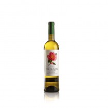 FLOR DE CASTEL