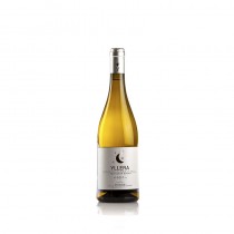 YLLERA SAUVIGNON BLANC
