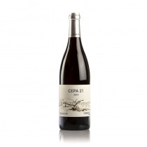 CEPA 21